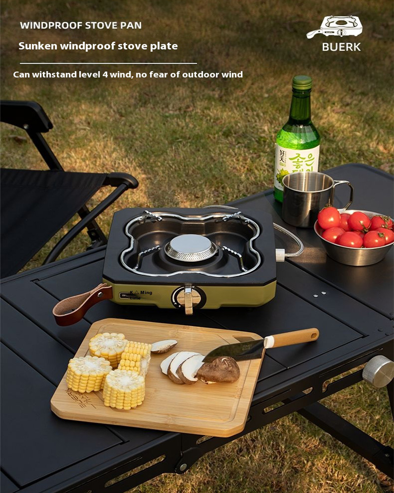 Buerk Desktop Outdoor Gas Stov - Camping Cooking Propane 评论和价格
