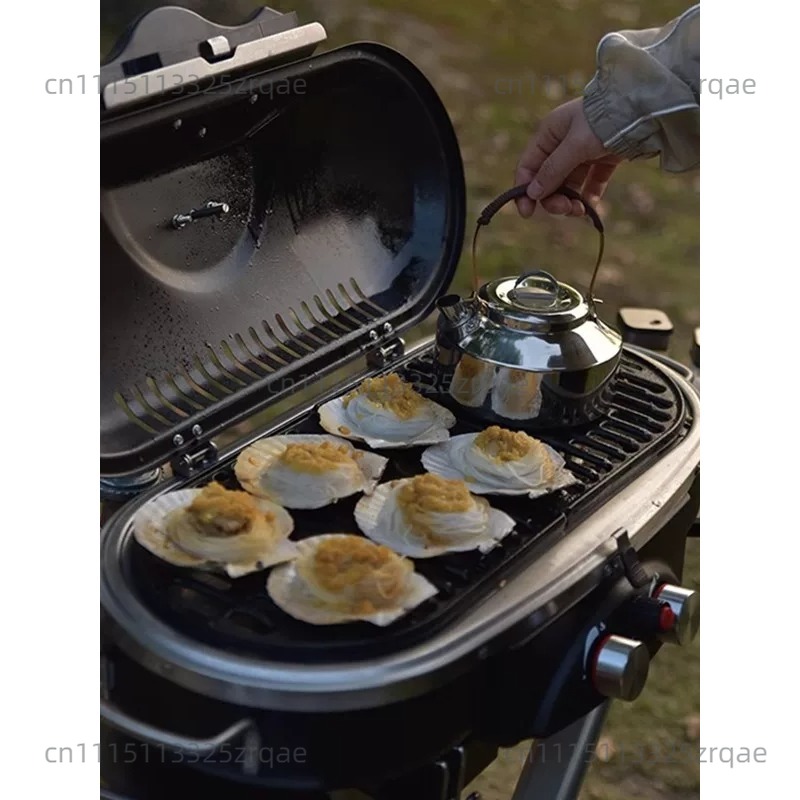 Outdoor Indoor Gas Cooking Sto - Camping Cooking Range 评论和价格